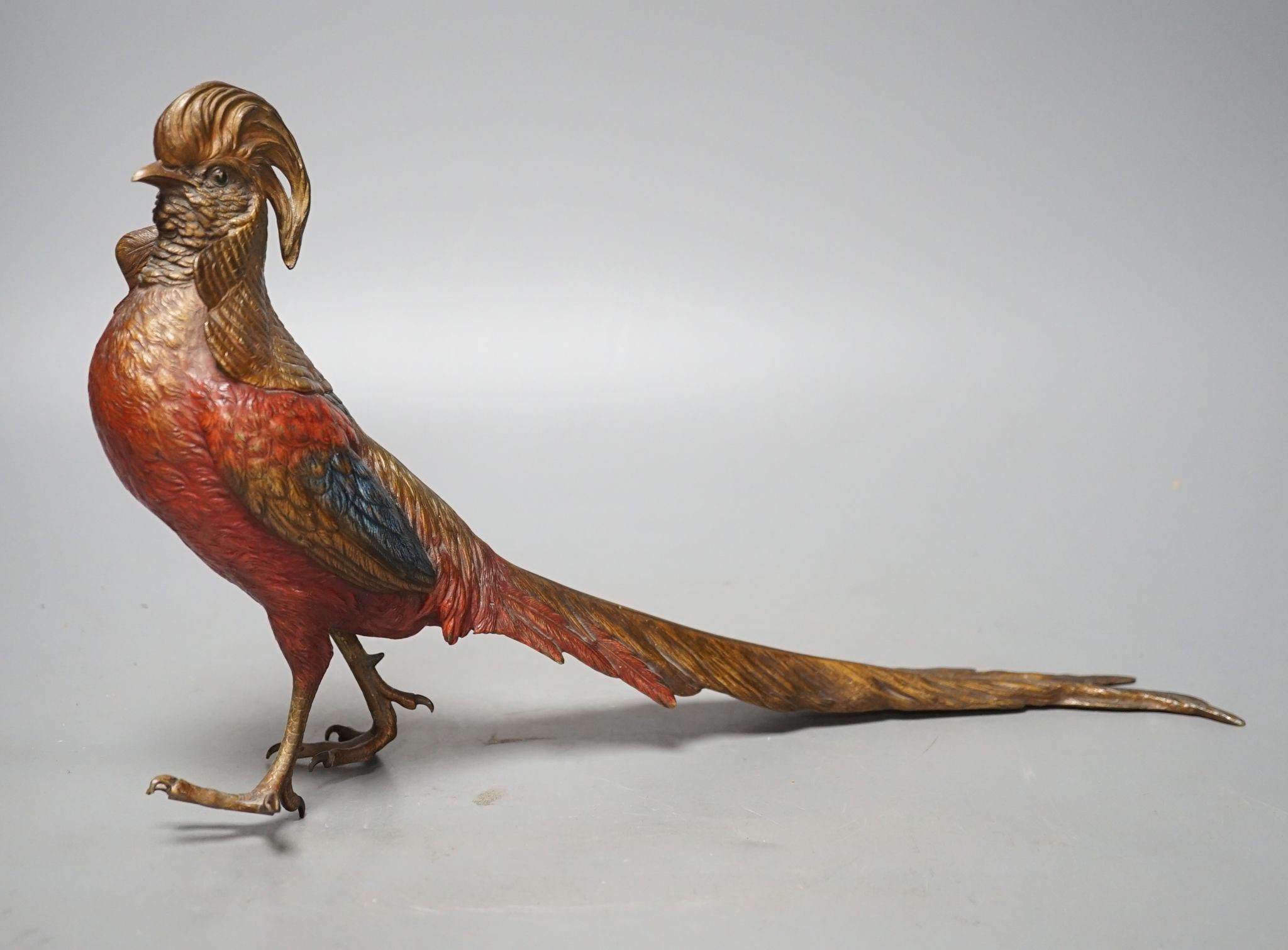 A cold painted bronze golden pheasant in style of Bergman 37cm
